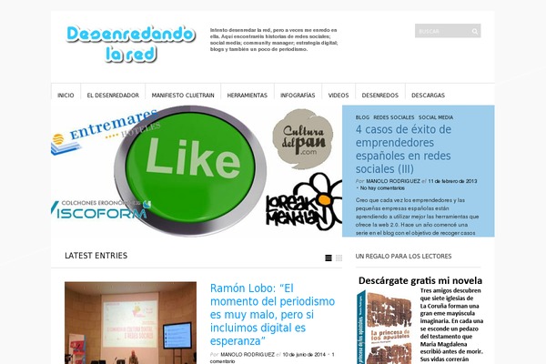 Curated theme site design template sample