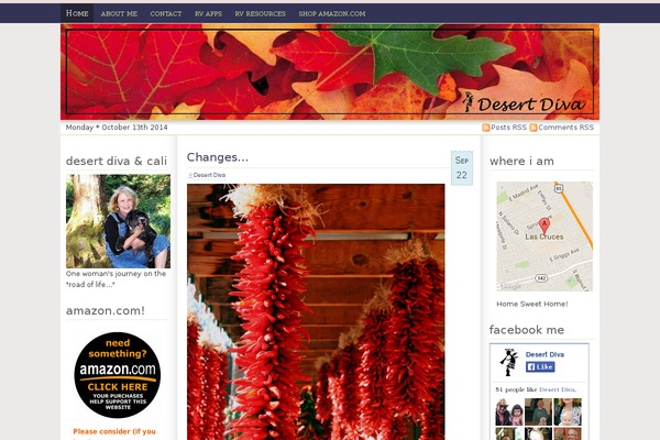 desertdiva.net site used Palnila