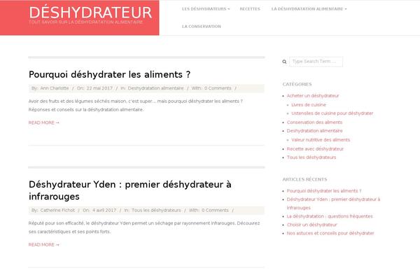 Responsive Brix theme site design template sample