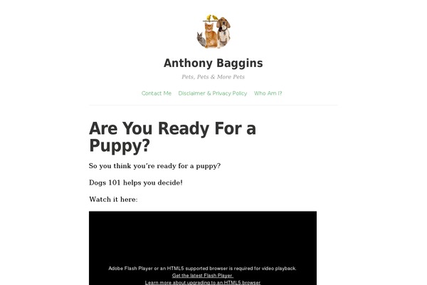Independent Publisher theme site design template sample
