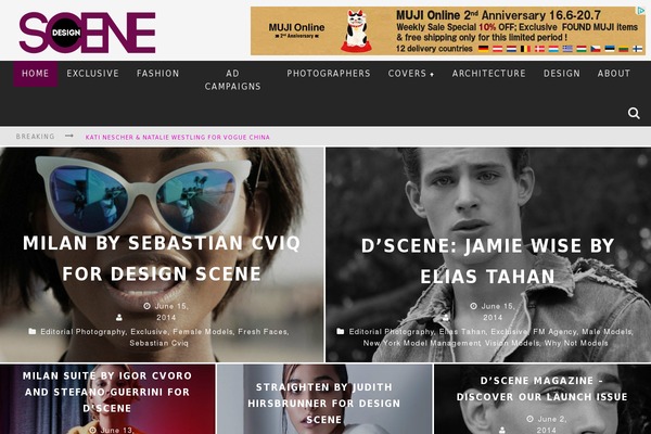 Site using Media-ace plugin