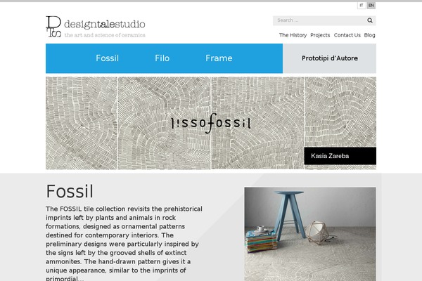 designtalestudio theme websites examples
