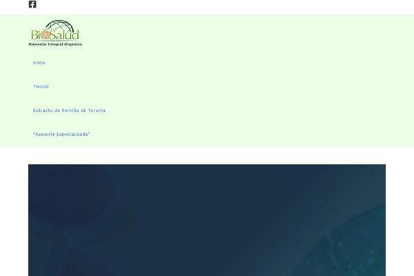 Astra theme site design template sample