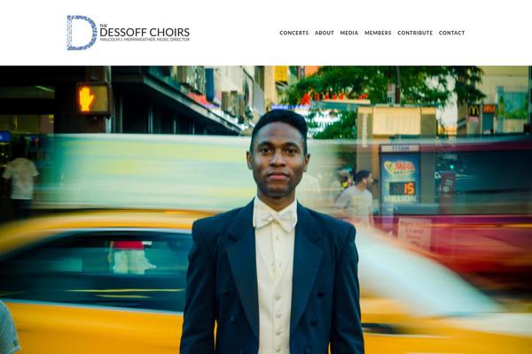 Attitude Pro theme site design template sample