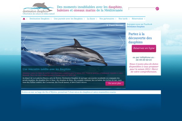 Twenty Ten theme site design template sample