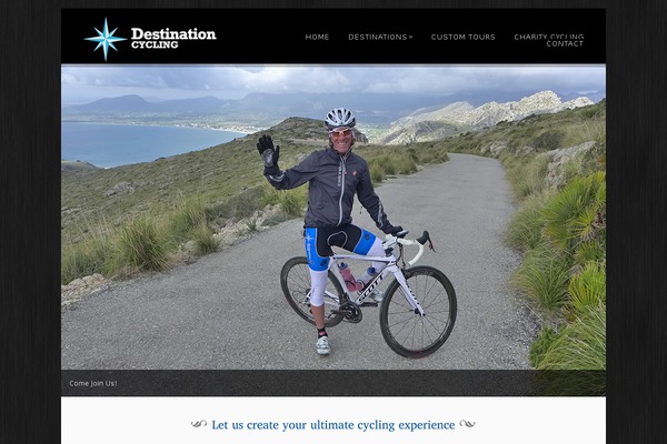 Dandelion theme site design template sample