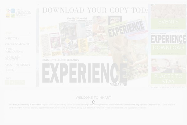 Socha theme site design template sample