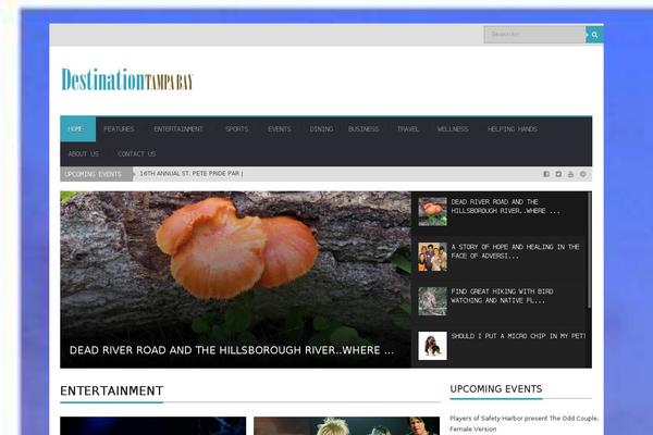 MediaNews theme site design template sample