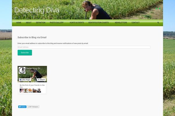 evolve theme site design template sample