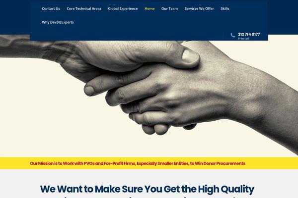 Consulting theme site design template sample