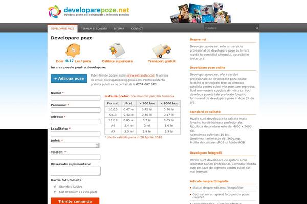 Rino theme site design template sample