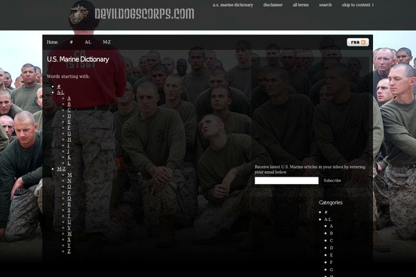 Pixel theme site design template sample