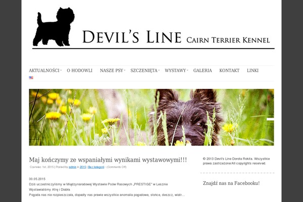 Delicate theme site design template sample