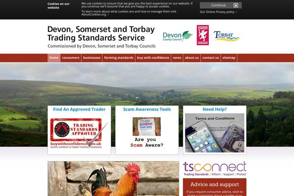 Site using Dcc-accessibility plugin