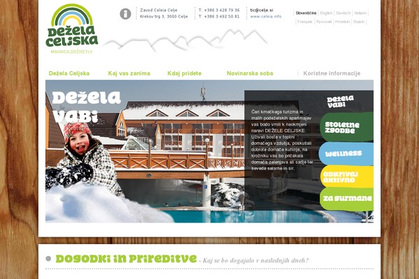 Ashe theme site design template sample