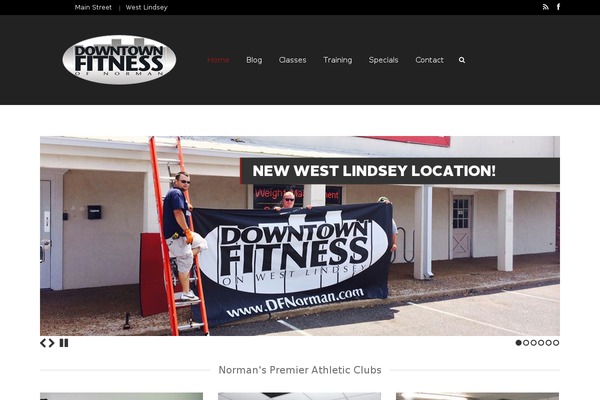 Vivacity theme site design template sample