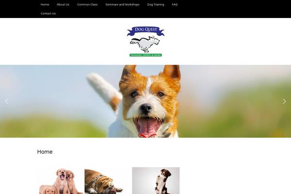 Avada theme site design template sample