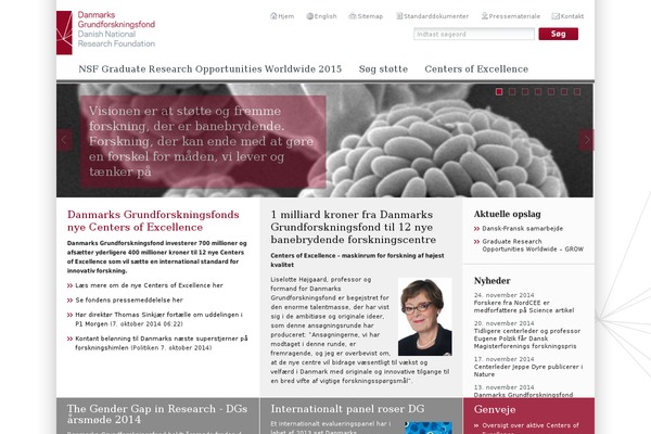dg.dk site used Clean