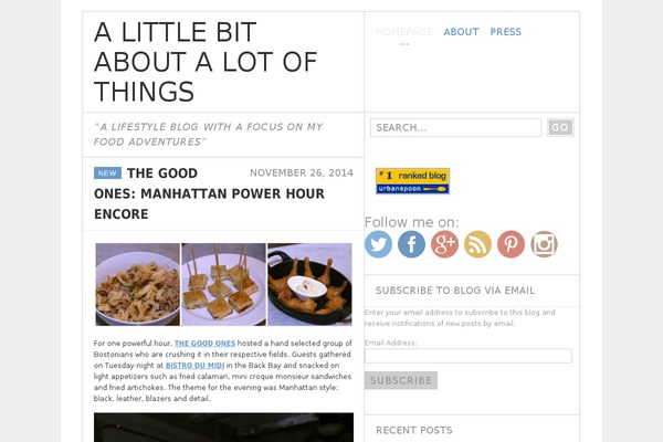 Steira theme site design template sample