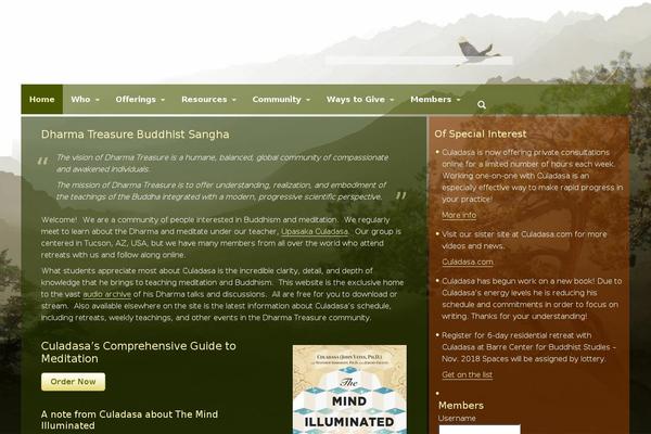 ravenseye theme websites examples