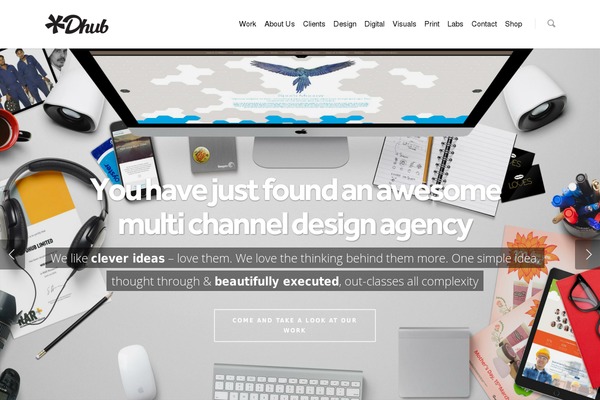 dhub theme websites examples