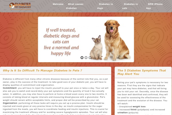 roen-child theme websites examples