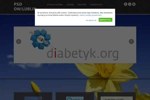 Responsive theme site design template sample