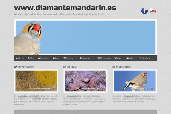 Gridiculous Pro theme site design template sample