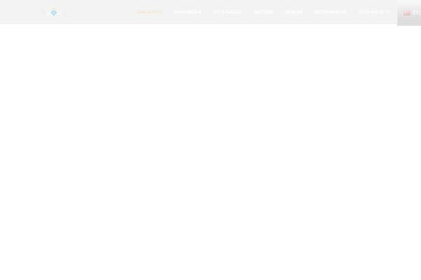 Zante theme site design template sample