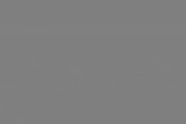 Site using Themecore plugin