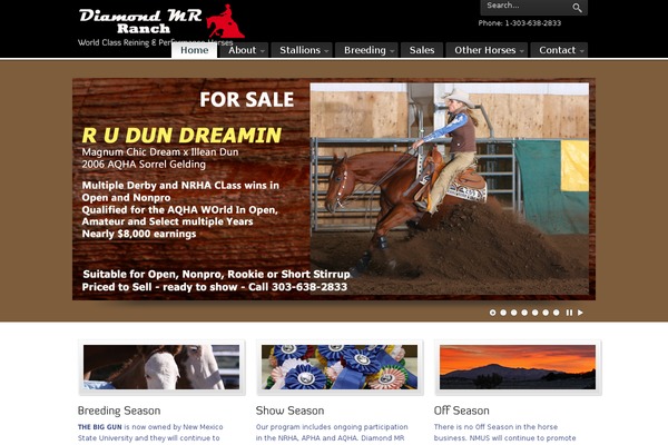 PureVISION theme site design template sample