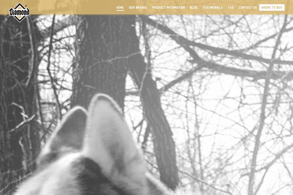 Site using Searchwp plugin