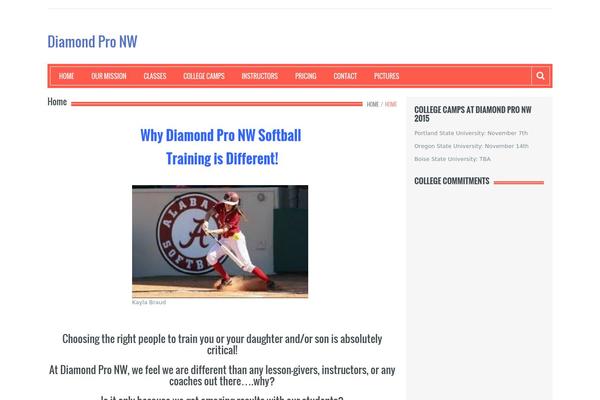 Resolution theme site design template sample