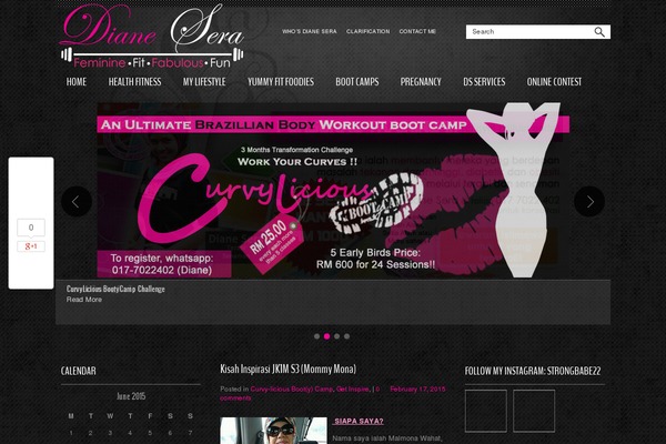 Karolina theme site design template sample