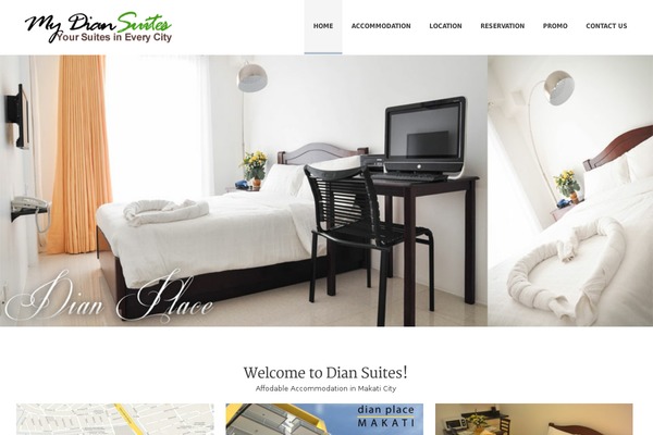 dian theme websites examples