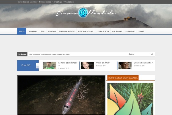 Site using Category Posts Widget plugin