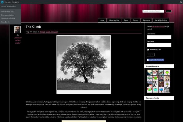 Site using BuddyPress Sitewide Activity Widget plugin