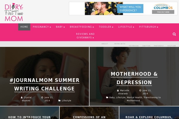 Site using Codecanyon-157782-video-gallery-wordpress-plugin-w-youtube-vimeo plugin