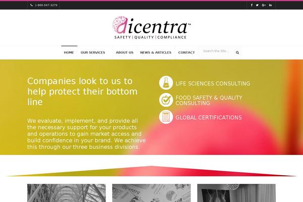 B-i-g theme site design template sample