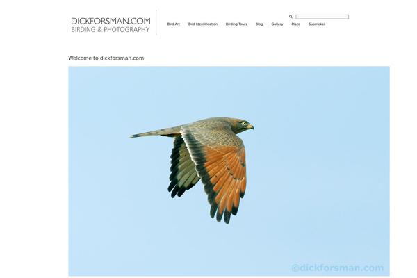 dickforsman.com site used Hemingway_reloaded