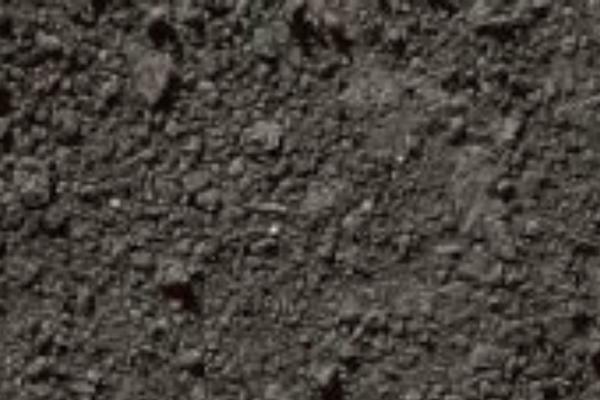 Kutcher theme site design template sample