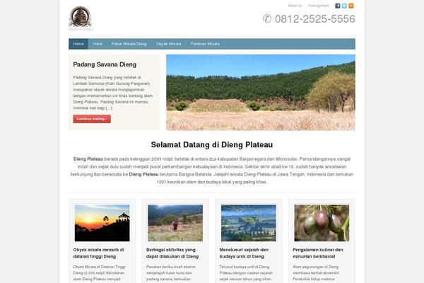 Site using Widget-google-reviews plugin