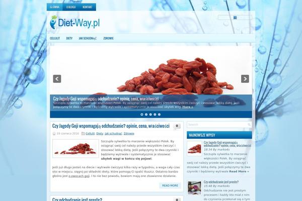 Dietingmag theme site design template sample
