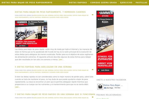 dietasparabajardepesorapidamentes.com site used Alexis