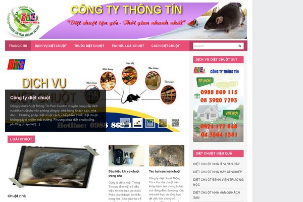 Erudito theme site design template sample