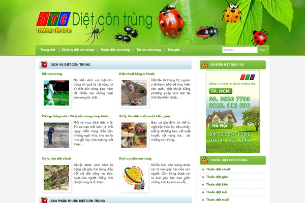 Cleartype theme site design template sample
