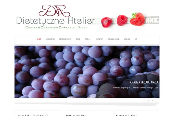 Zenon Lite theme site design template sample
