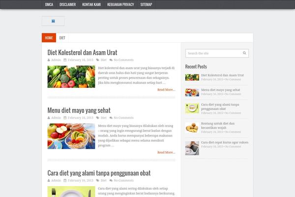 dietketat.com site used Fasthink