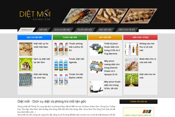 Daily theme site design template sample