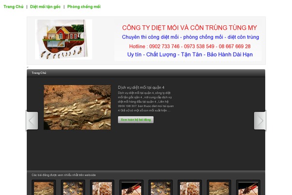 On Demand theme site design template sample